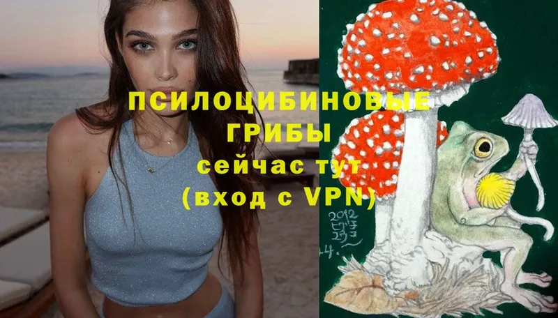 Галлюциногенные грибы Magic Shrooms  Андреаполь 